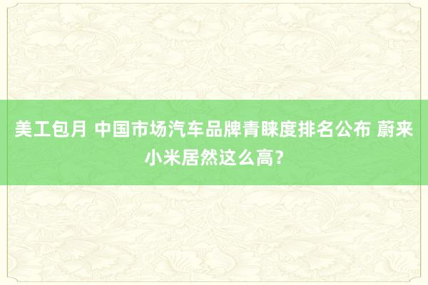 美工包月 中国市场汽车品牌青睐度排名公布 蔚来小米居然这么高？