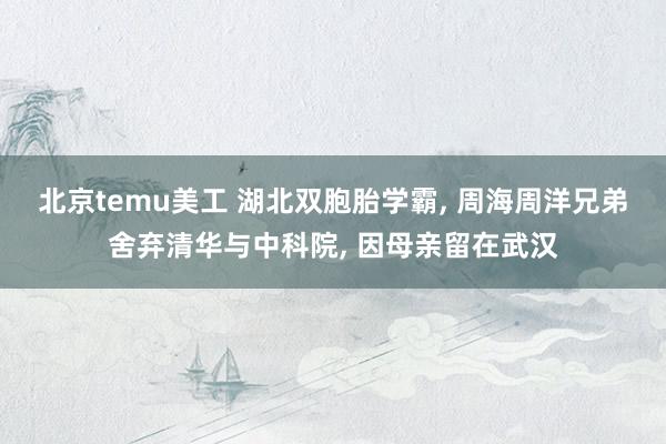 北京temu美工 湖北双胞胎学霸, 周海周洋兄弟舍弃清华与中科院, 因母亲留在武汉