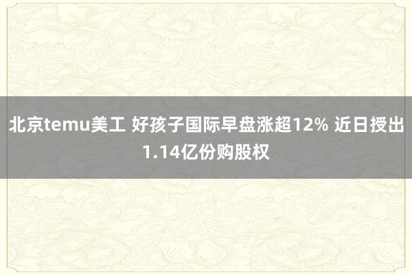 北京temu美工 好孩子国际早盘涨超12% 近日授出1.14亿份购股权