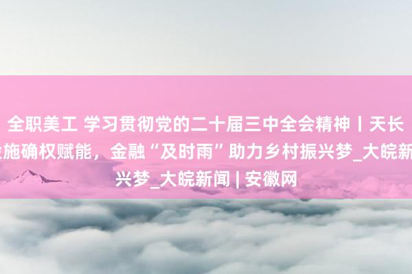 全职美工 学习贯彻党的二十届三中全会精神丨天长市：农业设施确权赋能，金融“及时雨”助力乡村振兴梦_大皖新闻 | 安徽网