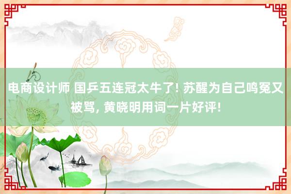 电商设计师 国乒五连冠太牛了! 苏醒为自己鸣冤又被骂, 黄晓明用词一片好评!