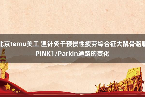 北京temu美工 温针灸干预慢性疲劳综合征大鼠骨骼肌PINK1/Parkin通路的变化