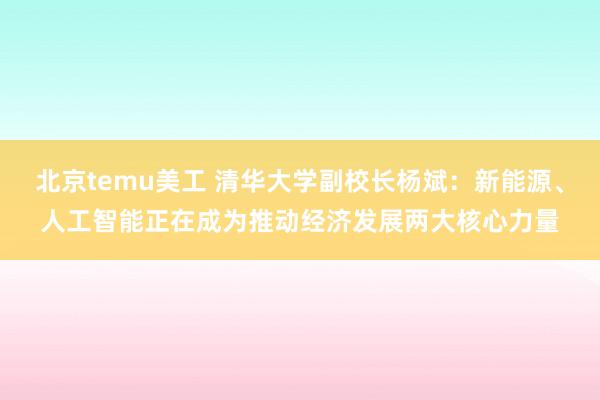 北京temu美工 清华大学副校长杨斌：新能源、人工智能正在成为推动经济发展两大核心力量